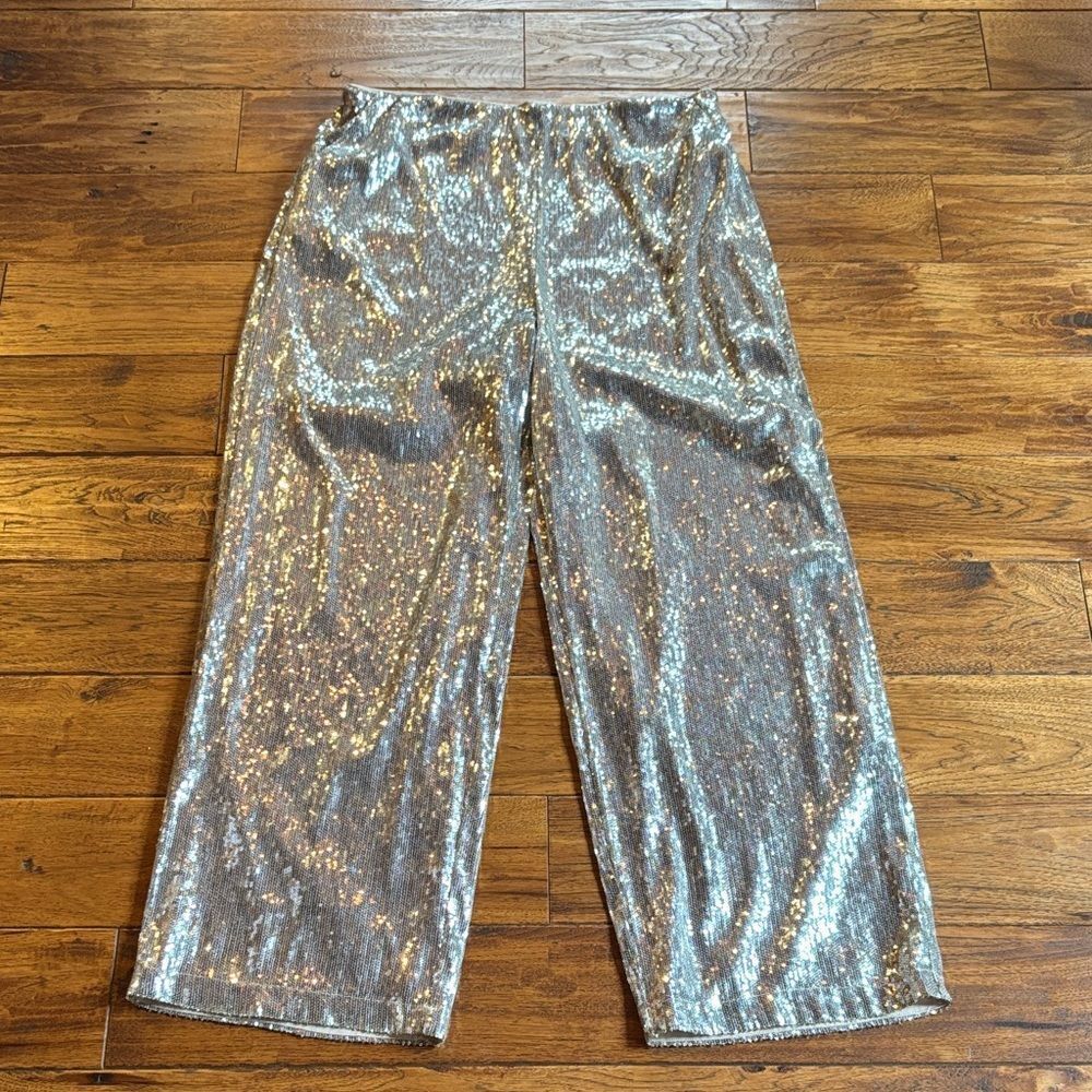 Boston Proper Silver Sequin Wide-Leg Pants